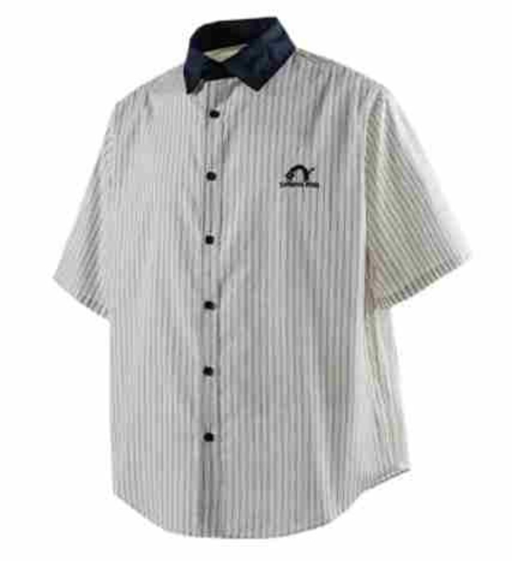 White Stripe with Navy Collar